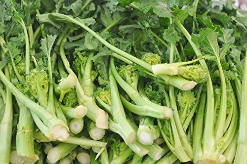 Spargelbrokkoli 'Cima di Rapa' Broccoletti - 50 Samen von KräuMa