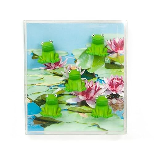 Kraftheld | 5er Set Deko-Magnete Frog | Frosch-Magnete bunt, dekorativ, farbenfroh | Kühlschrankmagnete in Form von Tieren, Glücksbringer | Magnet-Deko als Geschenk von Kraftheld