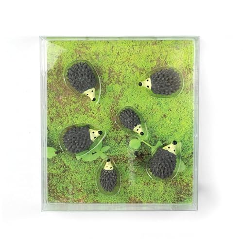 Kraftheld | 6er Set Deko-Magnete Hedgehog | Igel-Magnete bunt, dekorativ, farbenfroh | Kühlschrankmagnete in Form von Tieren | Magnet-Deko als Geschenk Kraftheld | 6er Set Deko-Magnete Hedgehog | Igel-Magnete bunt, dekorativ, farbenfroh | Kühlschrankmagnete in Form von Tieren | Magnet-Deko als Geschenk von Kraftheld