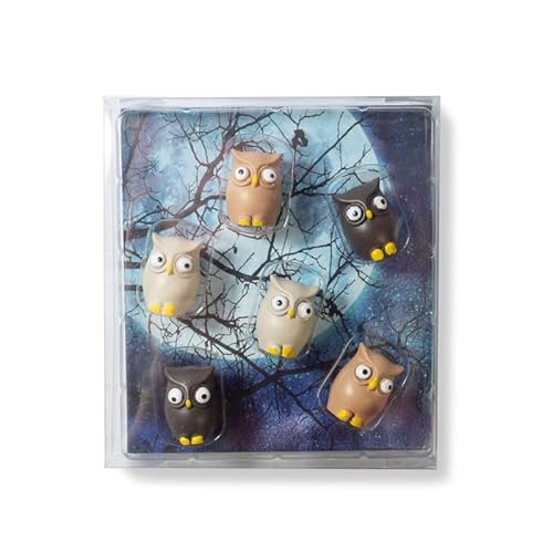 Kraftheld | 6er Set Deko-Magnete Owl | Eulen-Magnete bunt, dekorativ, farbenfroh | Kühlschrankmagnete in Form von Tieren | Magnet-Deko als Geschenk Kraftheld | 6er Set Deko-Magnete Owl | Eulen-Magnete bunt, dekorativ, farbenfroh | Kühlschrankmagnete in Form von Tieren | Magnet-Deko als Geschenk von Kraftheld