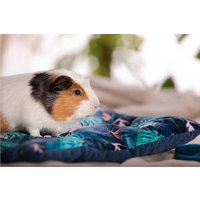 Bequemes Kaninchenbett, Meerschweinchenbett, Frettchenbett - Kissen Für Kleintiere von KrainaTuptusia