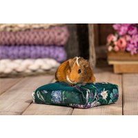 Eisbeutel/Kühlkartusche | Große Kapazität + Hülle Für Chinchillas, Meerschweinchen, Igel, Kaninchen Und Ratten von KrainaTuptusia