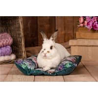Kuschelbett Für Hasen, Häschen, Hasenkissen, Frettchenkissen von KrainaTuptusia