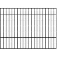 KRAUS Doppelstabmattenzaun "Dino-Pro DS-60x40" von Kraus