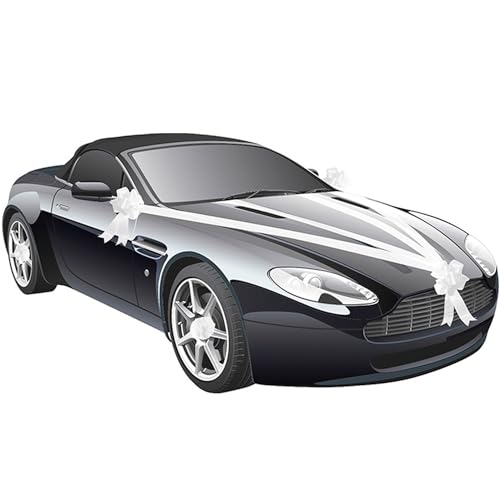 Hochzeits-Auto Girlande 8 cm x 20 m Autoschleife Autoschmuck Wedding Car Deko Autoschmuck Hochzeitswagen (Weiß) von Krause & Sohn