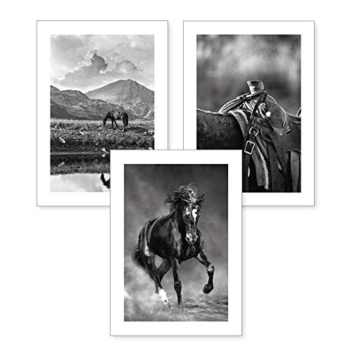 Kreative Feder 3-teiliges Premium Poster-Set | Kunstdruck | Pferde | Deko Bild für Ihre Wand | optional mit Rahmen | Wohnzimmer Schlafzimmer Modern Fine Art | DIN A4 / A3 (A4, ohne Rahmen) von Kreative Feder