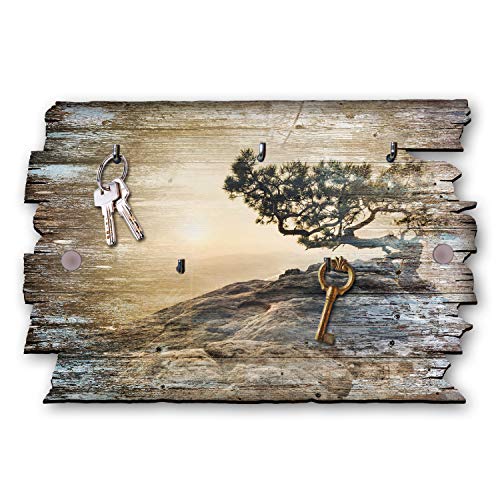 Kreative Feder Baum Designer Schlüsselbrett, Hakenleiste Landhaus Style, Shabby aus Holz 30x20cm, HSB020 von Kreative Feder