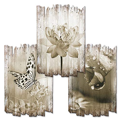 Kreative Feder Natur | Shabby Chic Landhausstil Wandbilder Holz | Deko-Schilder aus Holz im 3er Set | Wanddeko für Ihr Zuhause | wahlw. in 30x20cm oder 30x45cm (30x45cm) von Kreative Feder