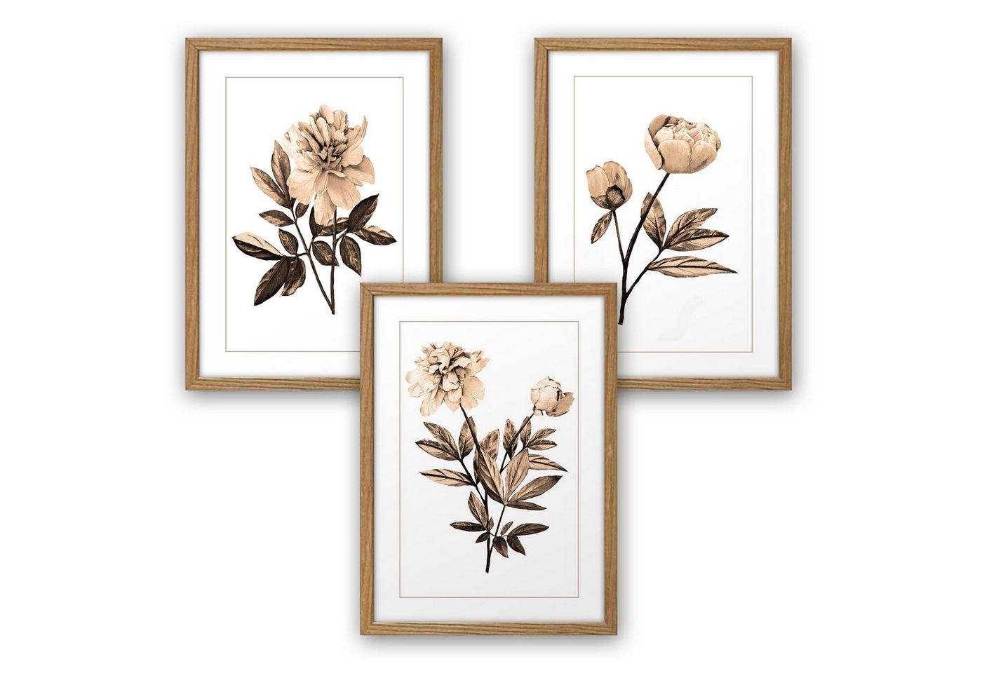 Kreative Feder Poster, Blume, Blüte, sepia, Zeichnung, Natur, Garten (Set, 4 St), 3-teiliges Poster-Set, Kunstdruck, Wandbild, optional mit Rahmen, wahlw. in DIN A4 / A3, 3-WP073 von Kreative Feder