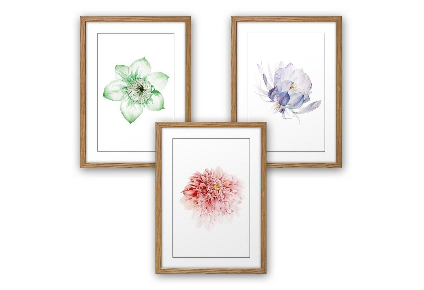 Kreative Feder Poster, Bunt, Blüte, Blume, Natur, Zeichnung (Set, 3 St), 3-teiliges Poster-Set, Kunstdruck, Wandbild, optional mit Rahmen, wahlw. in DIN A4 / A3, 3-WP112 von Kreative Feder