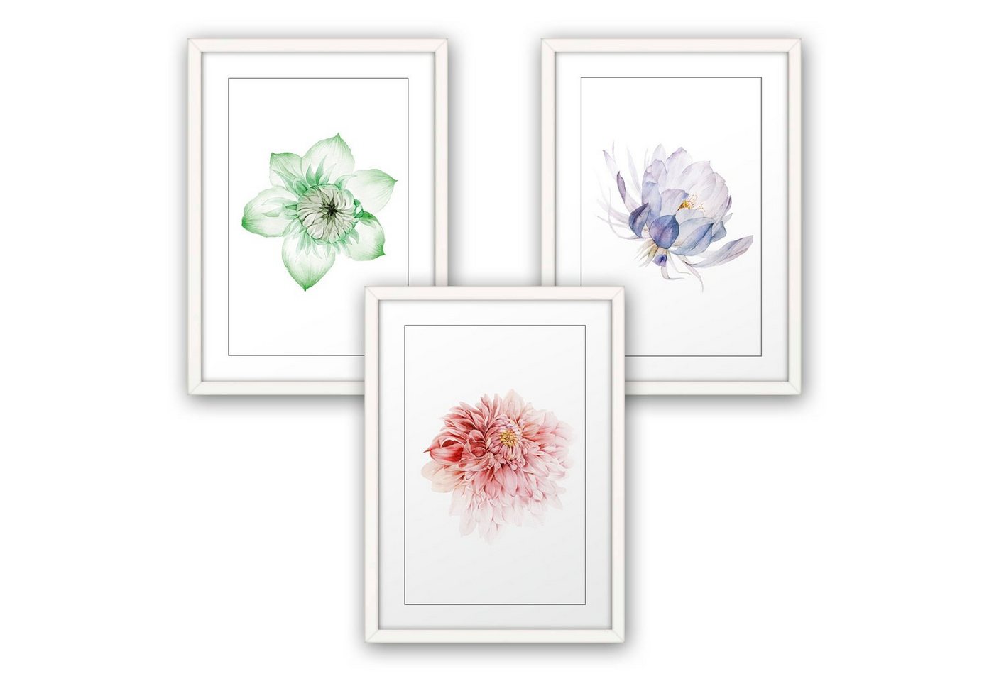 Poster, Bunt, Blüte, Blume, Natur, Zeichnung (Set, 3 St), 3-teiliges Poster-Set, Kunstdruck, Wandbild, optional mit Rahmen, wahlw. in DIN A4 / A3, 3-WP112 von Kreative Feder