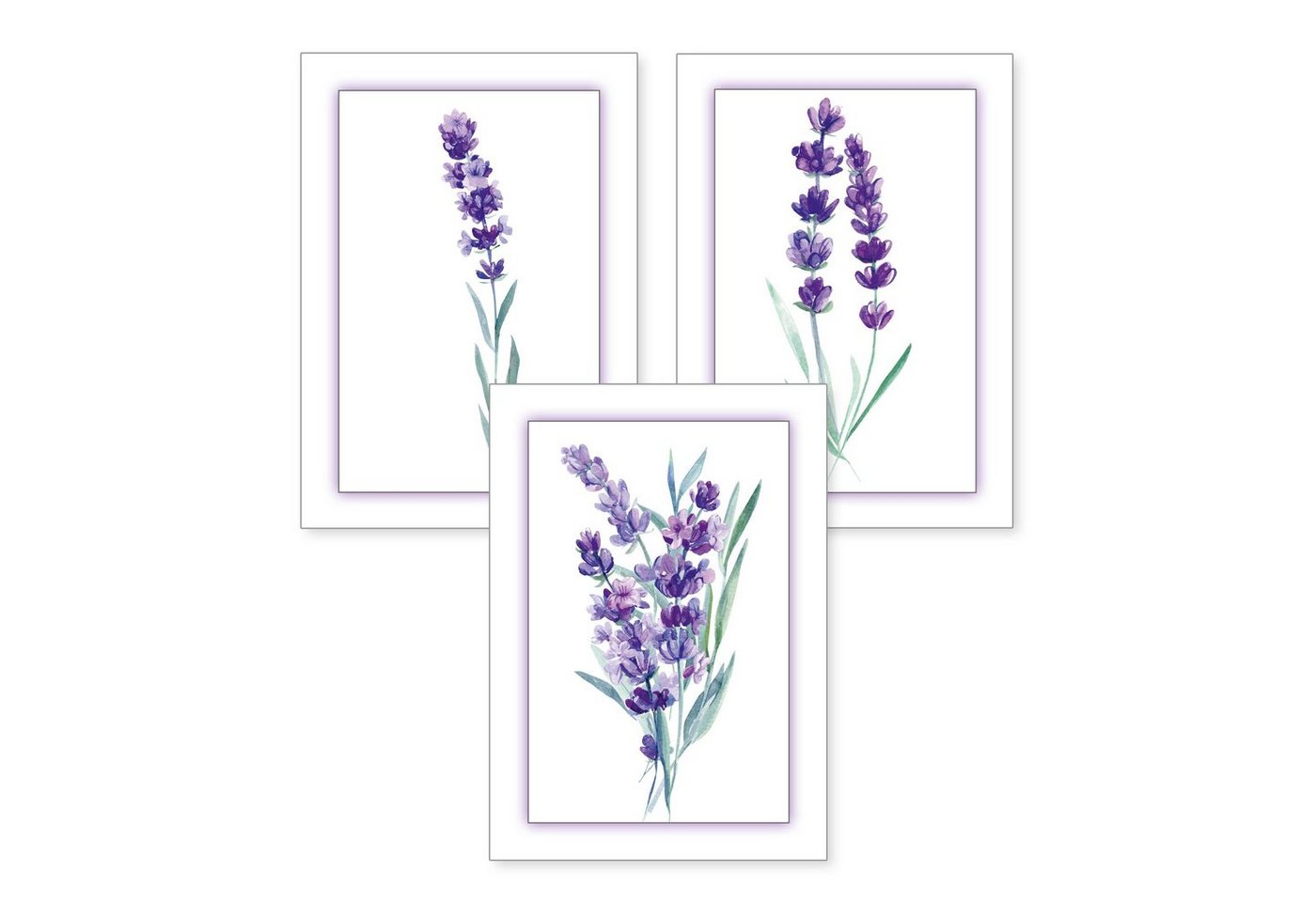 Kreative Feder Poster, Lavendel, Natur, Pflanze, Zeichnung, Aquarell (Set, 3 St), 3-teiliges Poster-Set, Kunstdruck, Wandbild, optional mit Rahmen, wahlw. in DIN A4 / A3, 3-WP113 von Kreative Feder