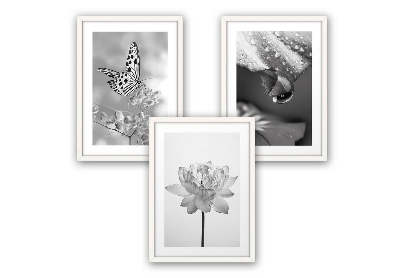 Poster, Natur, Blüte, Pflanze, Schmetterling, Schwarz-Weiß, Fotografie (Set, 3 St), 3-teiliges Poster-Set, Kunstdruck, Wandbild, optional mit Rahmen, wahlw. in DIN A4 / A3, 3-WP100 von Kreative Feder