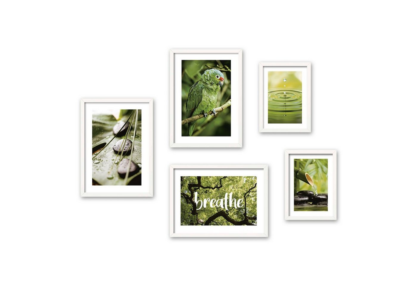 Poster, Natur, Papagei, Regenwald, Wald, Bäume, Bambus, Wasser, Entspannung (Set, 5 St), 5-teiliges Poster-Set, Kunstdruck, Wandbild, Posterwand, Bilderwand, optional mit Rahmen, WP615 von Kreative Feder