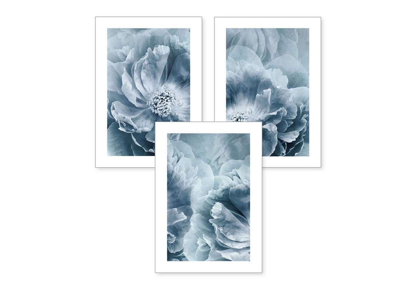 Kreative Feder Poster, Natur, Pflanze, Blume, Garten, Blau, Blüte (Set, 3 St), 3-teiliges Poster-Set, Kunstdruck, Wandbild, optional mit Rahmen, wahlw. in DIN A4 / A3, 3-WP055 von Kreative Feder