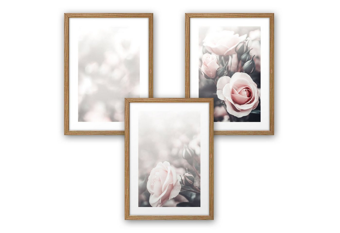 Kreative Feder Poster, Natur, Pflanzen, Garten, Blüten, Blume, Rose (Set, 3 St), 3-teiliges Poster-Set, Kunstdruck, Wandbild, optional mit Rahmen, wahlw. in DIN A4 / A3, 3-WP052 von Kreative Feder