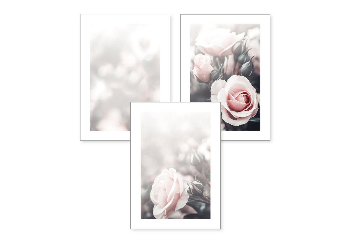 Kreative Feder Poster, Natur, Pflanzen, Garten, Blüten, Blume, Rose (Set, 3 St), 3-teiliges Poster-Set, Kunstdruck, Wandbild, optional mit Rahmen, wahlw. in DIN A4 / A3, 3-WP052 von Kreative Feder