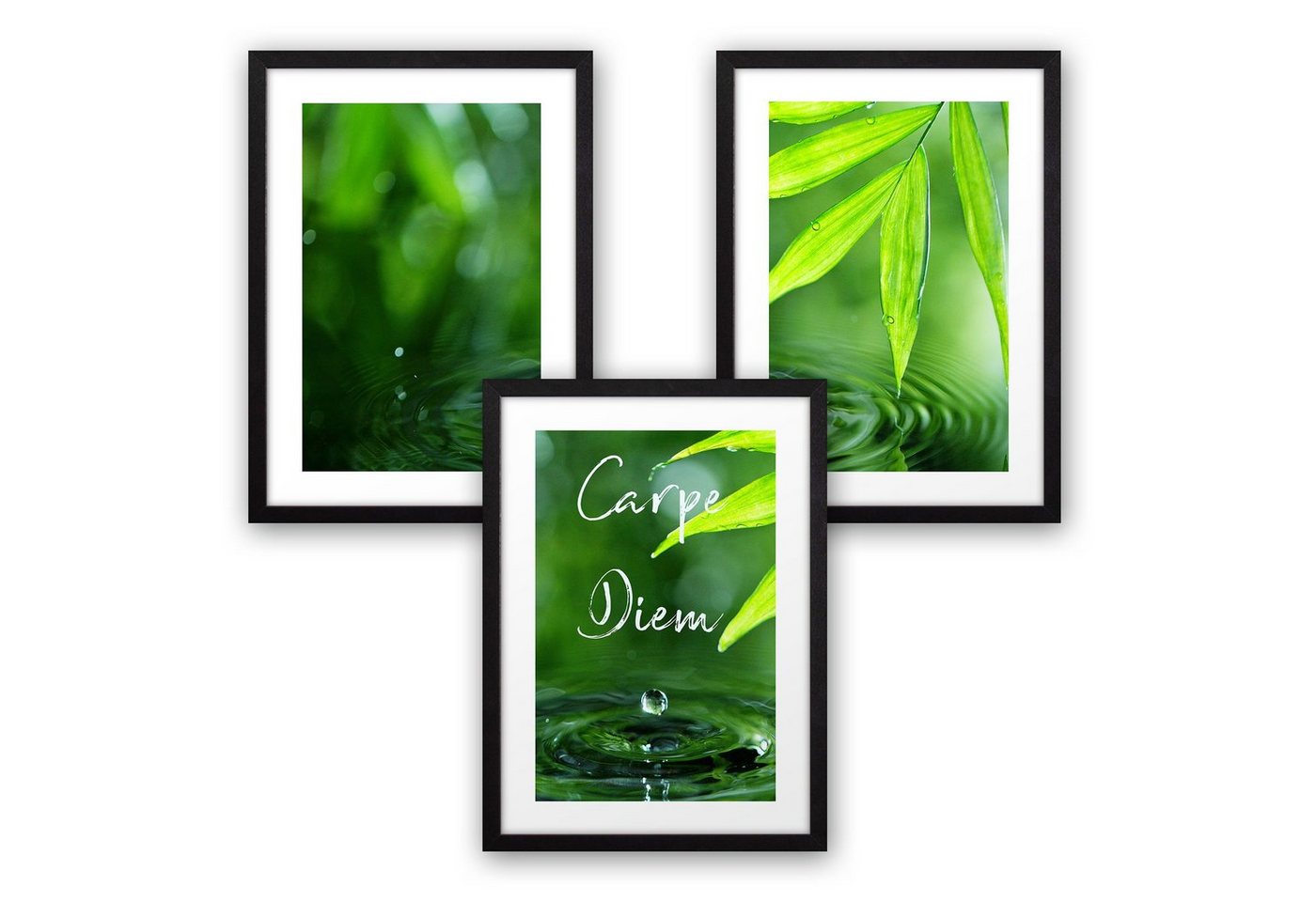 Kreative Feder Poster, Natur, Wasser, Pflanzen, Blätter, grün (Set, 3 St), 3-teiliges Poster-Set, Kunstdruck, Wandbild, optional mit Rahmen, wahlw. in DIN A4 / A3, 3-WP006 von Kreative Feder