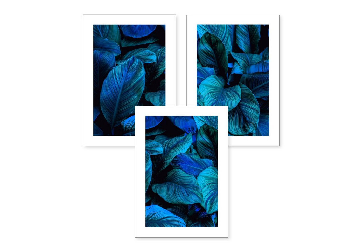 Kreative Feder Poster, Pflanze, blau, Blatt, Blätter, Natur (Set, 3 St), 3-teiliges Poster-Set, Kunstdruck, Wandbild, optional mit Rahmen, wahlw. in DIN A4 / A3, 3-WP004 von Kreative Feder