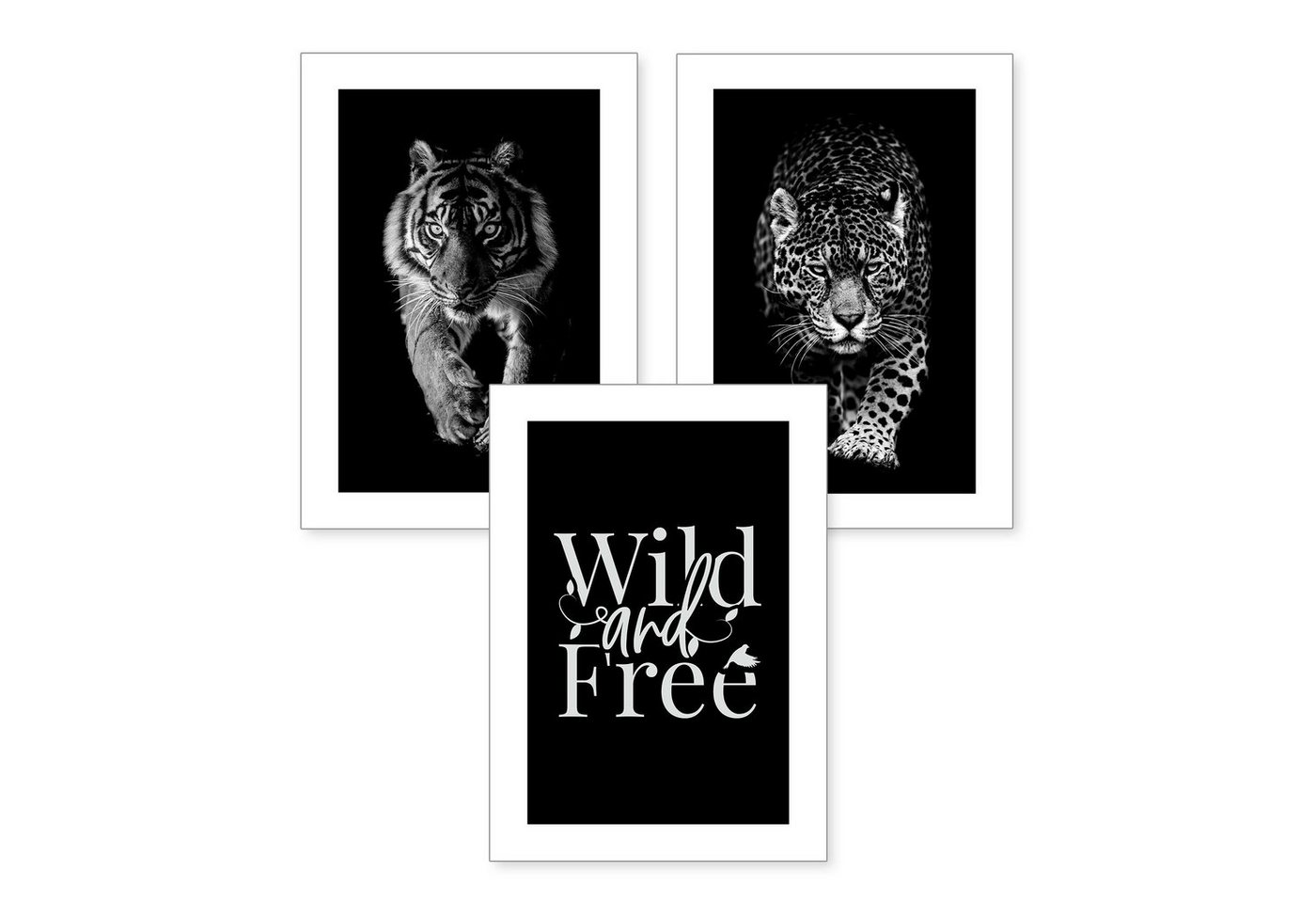 Kreative Feder Poster, Tiger, Leopard, Schwarz-Weiß, Tiere, Katze, Raubkatze, wild, free (Set, 3 St), 3-teiliges Poster-Set, Kunstdruck, Wandbild, optional mit Rahmen, wahlw. in DIN A4 / A3, 3-WP070 von Kreative Feder