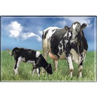 Kühlschrankmagnet - Kuh Kälbchen Gr. Ca. 8 X 5, 5 cm 38312 Magnet Küchenmagnet von Kreativhaeuschen