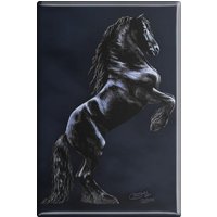 Magnet - Pferd Steigender Friese Kollektion Bötzel Gr. Ca. 8 X 5, 5 cm 38655 Küchenmagnet von Kreativhaeuschen