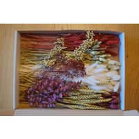Trockenblumen Box M-L Diy Weiß Gold Bordeaux von Kreativmitherzdeko