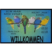 Fußmatte Wellensittiche Vogel Gäste Varianten Fußmatte Wellensittiche Vogel Gäste Varianten von Kreawusel