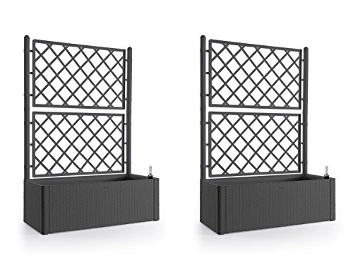 2 Stück XL Rankgitter, Spalier mit Pflanzkasten in moderner Rattan-Optik aus robustem Kunststoff in Anthrazit/Grau. Maße BxTxH in cm: 100 x 43 x 142 cm. Topp für Garten, Terrasse und Balkon! von Kreher