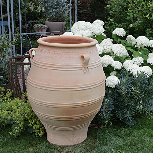 Palatina-Keramik | XXL Amphore aus Terracotta | 100 cm | frostfest | mediterrane Pflanzgefäße Pflanzkübel für Garten Terrasse Balkon Außenbereich Thymus 100 cm von Kreta-Keramik