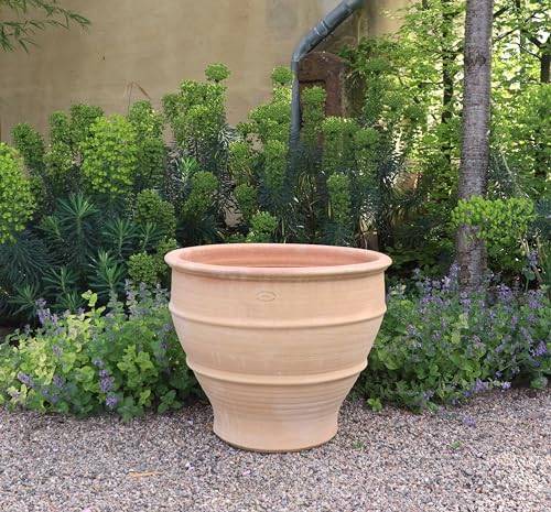 Palatina-Keramik | großer breiter Pflanzkübel Übertopf aus Terrakotta | 60 cm | winterharter Blumenkübel Außen Garten Buxus von Kreta-Keramik