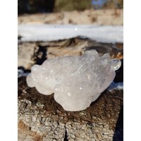 Bergkristall Money Toad | Geldkröte Kristall Edelstein Frosch Schnitzerei Heilstein Carving Kristallfrosch Tier Quarz Bergkristall Money Toad | Geldkröte Kristall Edelstein Frosch Schnitzerei Heilstein Carving Kristallfrosch Tier Quarz von KristallLiebeCo