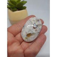 Blumenachat Handstein B Heilstein Edelstein Kristall Handschmeichler Sorgenstein Achat Trommelstein Daumenstein Blumen Blumenachat Handstein B Heilstein Edelstein Kristall Handschmeichler Sorgenstein Achat Trommelstein Daumenstein Blumen von KristallLiebeCo