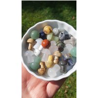 Mystery Pilz Überraschung Kristall Edelstein Heilstein Schnitzerei Mini Carving Dekoration Kristallpilz Edelsteinpilz Aventurin Sodalith Usw von KristallLiebeCo