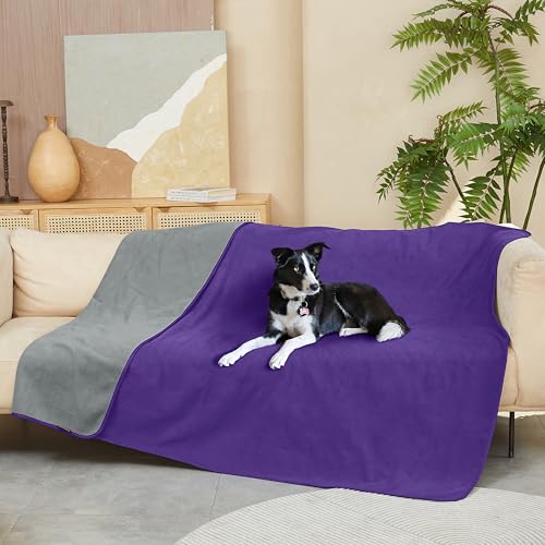 Kritter Planet Hundedecke Wasserdicht, Kuschelig Sex Decke, Urinbeständige Haustierdecke Waschbar Hundedecke für Sofa Bett Couch Autositz Möbel, XL Decke 203 x 152 cm, Lila/Dunkelgrau Kritter Planet Hundedecke Wasserdicht, Kuschelig Sex Decke, Urinbeständige Haustierdecke Waschbar Hundedecke für Sofa Bett Couch Autositz Möbel, XL Decke 203 x 152 cm, Lila/Dunkelgrau von Kritter Planet