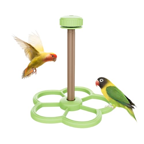 Krmoau Vogel Sitzstangen Für Vogelkäfig | Kauspielzeug Mit Windrad,Interaktiver Vogelkäfig Spielstand Für, Sittiche Und Kanarienvögel Zur Krallenpflege Krmoau Vogel Sitzstangen Für Vogelkäfig | Kauspielzeug Mit Windrad,Interaktiver Vogelkäfig Spielstand Für, Sittiche Und Kanarienvögel Zur Krallenpflege von Krmoau