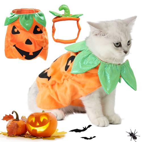 Entzückendes Katzenkürbis-Kostüm mit Kopfbedeckung für Halloween-Festlichkeiten von Kronabelle