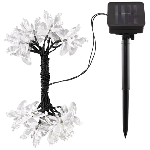 Kronabelle Solar LED Schmetterling Lichterkette 12M 100 Lichter Garten Outdoor Terrasse Dekor Batteriebetrieben Wasserdicht IP65 Warmgelb Leuchten Lichterkette Solarleuchten für Außen Kronabelle Solar LED Schmetterling Lichterkette 12M 100 Lichter Garten Outdoor Terrasse Dekor Batteriebetrieben Wasserdicht IP65 Warmgelb Leuchten Lichterkette Solarleuchten für Außen von Kronabelle