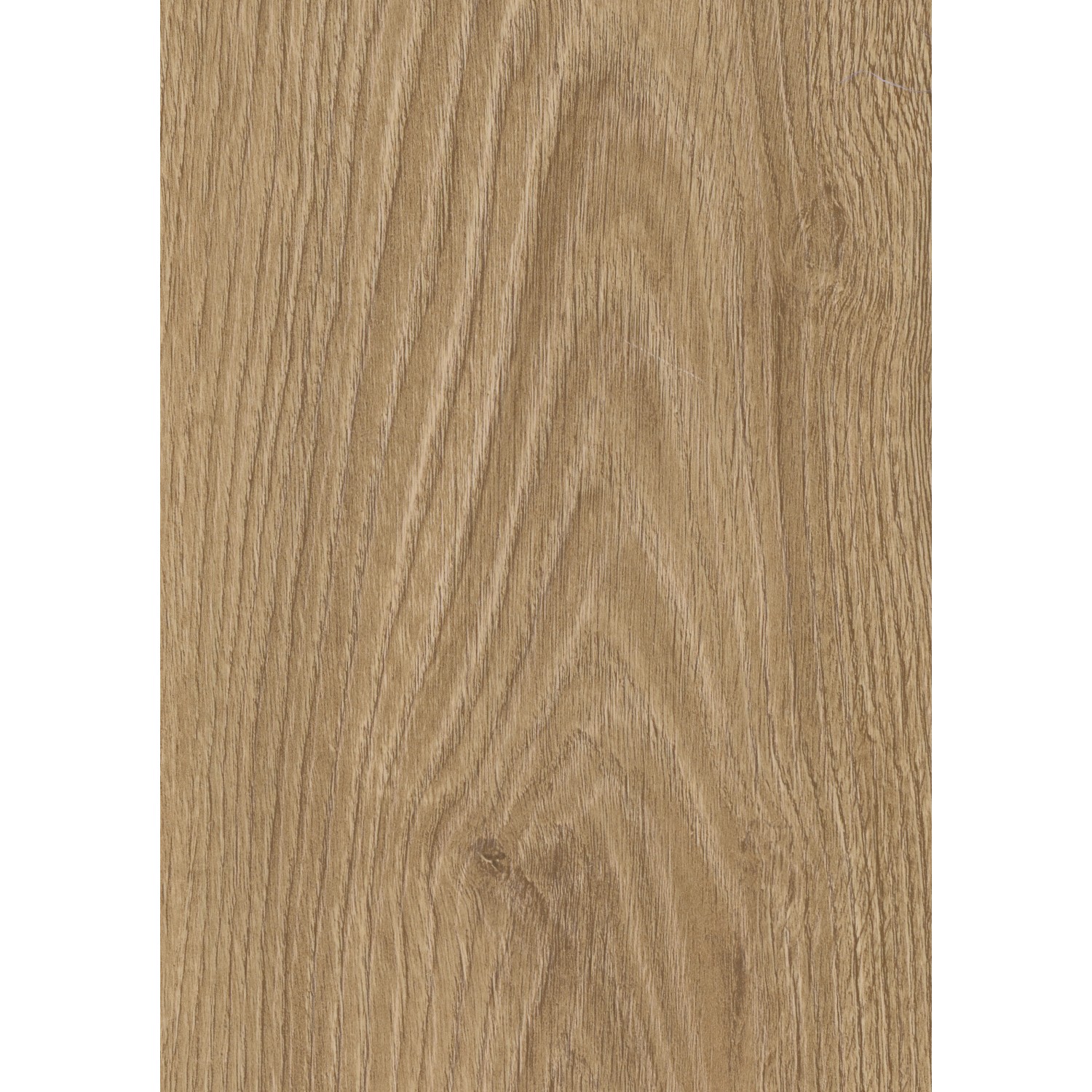 Kronoflooring Laminatbodenmuster Saxon Character Natural Carpenter Oak von Kronoflooring