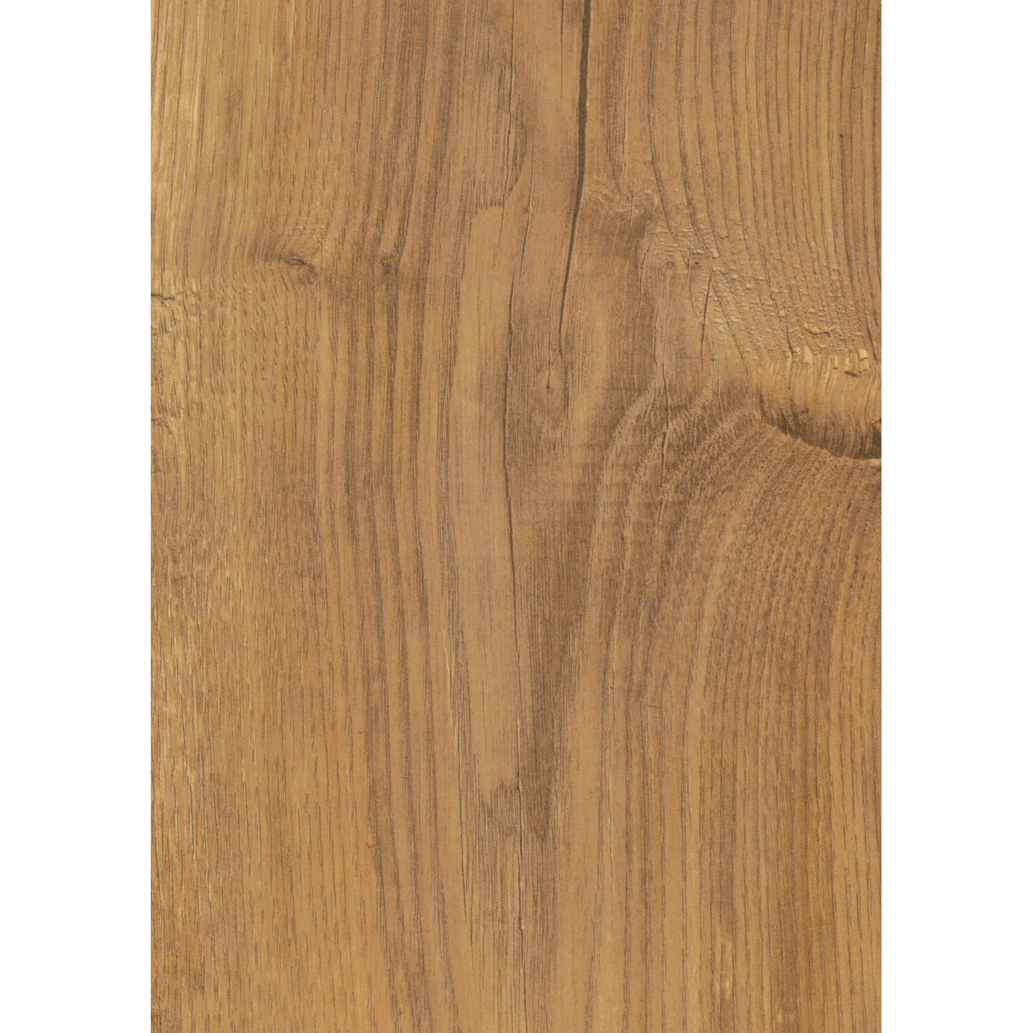 Kronoflooring Laminatbodenmuster Saxon Character Tawny Chestnut von Kronoflooring