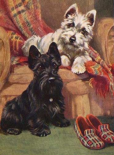 Krouterebs Blechschild Scottish Terrier, Westie und Pantoffeln Hund Metall Blechschild Rustikale Wanddekoration geeignet für Zuhause und Küche Bar Man Cave Cafe Garage Wanddekoration Retro Vintage von Krouterebs