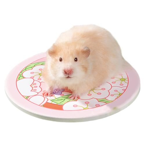 Krujecnt Hamster Kühlmatte | Keramik-Kühlmatte Für Kleintiere - Haustierzubehör, Kühlkissen Für Kleintiere Auf Schlafplatz, Sofa & Transportbox von Krujecnt