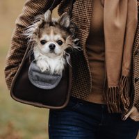 Hundeträger Leder Haustier Tragetasche Hundetasche Kleiner Hund Träger Lederträger Reise-Haustier-Tasche Schultertasche Für Vater-Tagesgeschenk von KrukGarageWorkstyle