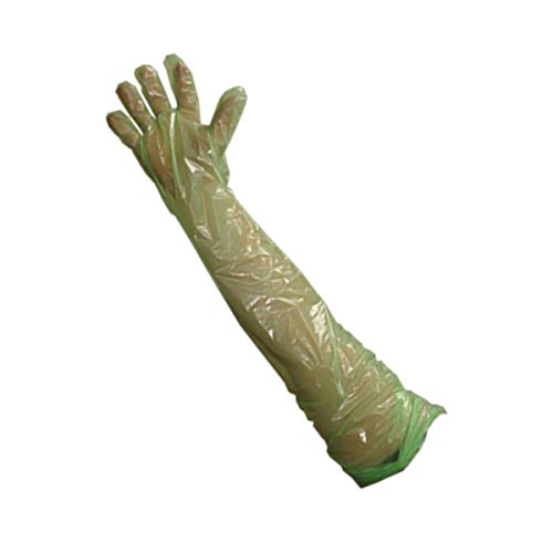 Krutex Untersuchungshandschuhe auf Armlänge, sanftes Grün, 100 Stück von Kruuse