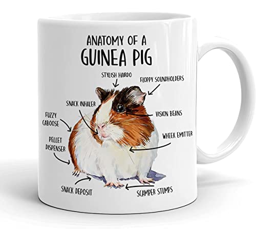 KrysDesigns Kaffeetasse mit Aufschrift Anatomy Of A Guinea Pig – Lustiges Meerschweinchen-Liebhaber-Geschenk – Höhle Tasse – Geschenk für Sie – Ihn – Geburtstag – Freund – Keramik-Kaffeetasse 325 ml, von KrysDesigns