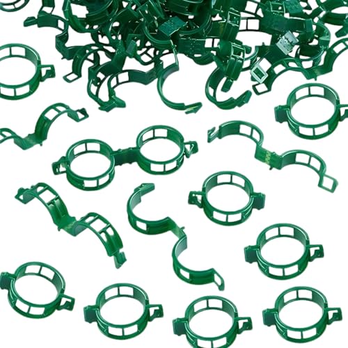 Ksheria 300 Stück Pflanzenstütz-Clips – Kunststoff-Clips für Gartennetz, Kletterpflanzen, Tomaten-Ranken-Clips für Schnurspalier, Weinreben-Clips zum aufrechten Wachsen, macht Pflanzen gesünder (grün) von Ksheria