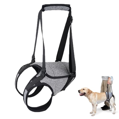 Tragehilfe Hund Groß, Tragehilfe Hund Hinterbein s, Dog Back Leg Support, Dog Carrying Aid, Verstellbares Hundegeschirr für Hinterbein, für Ältere, Behinderte Und Behinderte Hunde. von Ktnyl