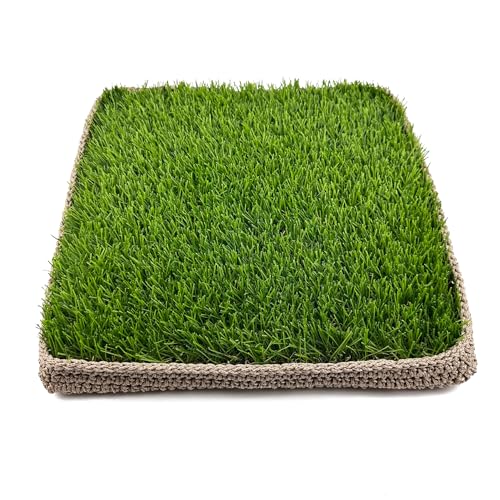 KuGuo Kunstrasenmatte, 30,5 cm, für drinnen und draußen, DenseTurf, grünes Gras, Mini-Haustier-Heimdekor-Matte mit gehäkelter Bodenwanne (Sommergras W-BTray) von KuGuo