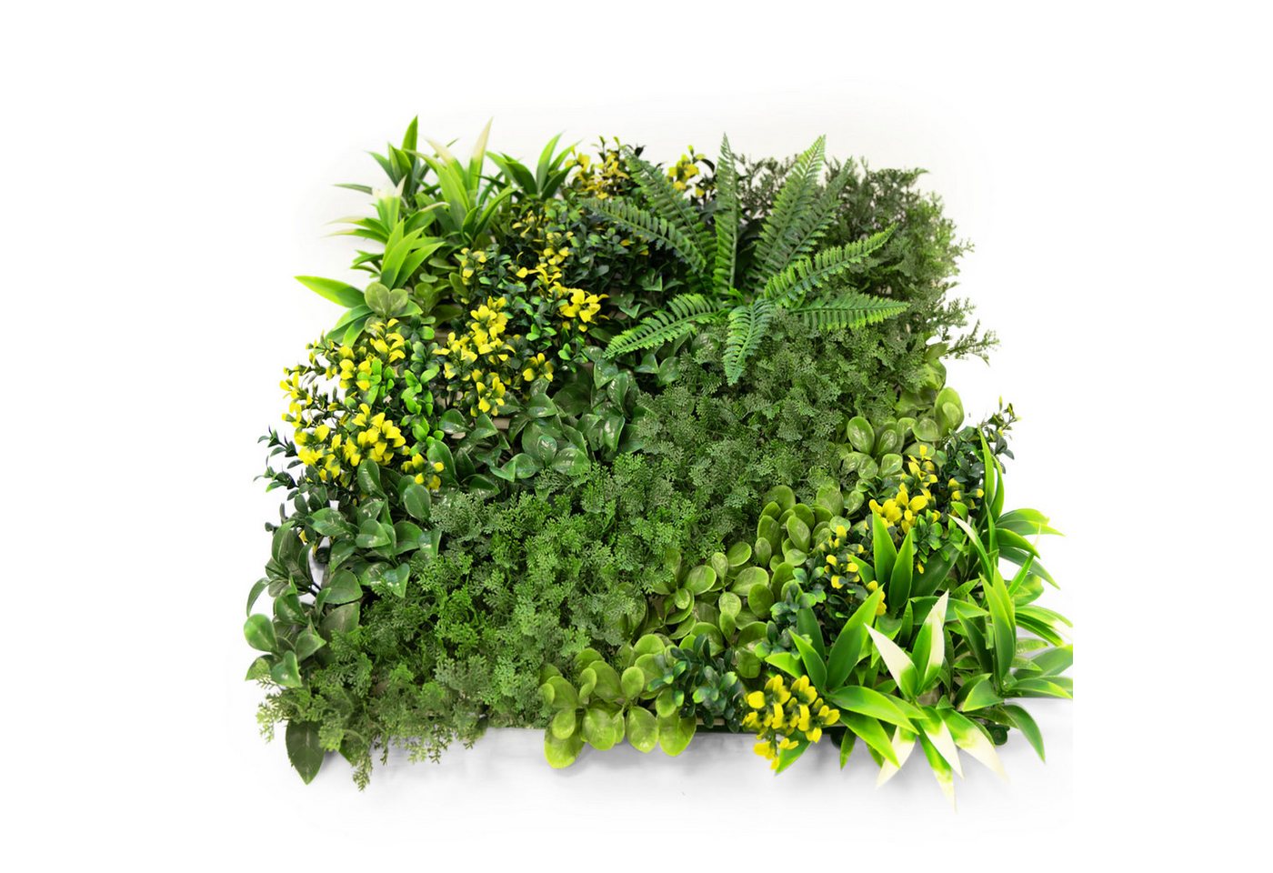 Kunstblume Pflanzenwand Vivagreen, Bringt modernen, grünen Touch, Kubus, Leicht erweiterbar und anpassbar Kunstblume Pflanzenwand Vivagreen, Bringt modernen, grünen Touch, Kubus, Leicht erweiterbar und anpassbar von Kubus