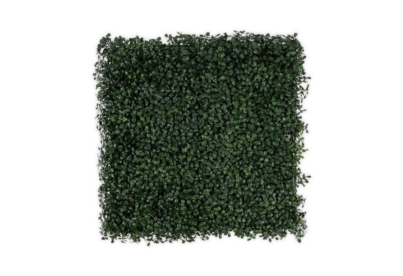 Kunstpflanze Pflanzenwand Arelie Dark-Green, Kubus, UV-beständig Kunstpflanze Pflanzenwand Arelie Dark-Green, Kubus, UV-beständig von Kubus